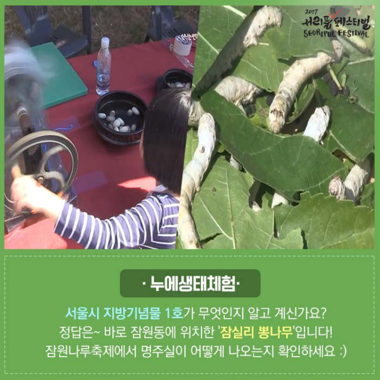 2017년9월16일 서초카드뉴스 사진4