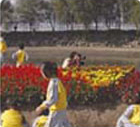 반포지구 꽃동산