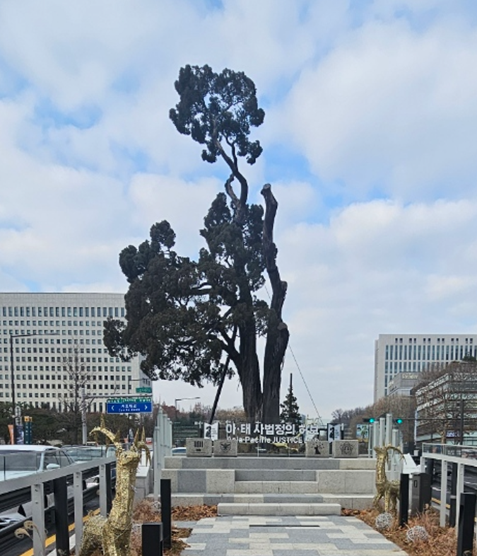 서초역 향나무 사진