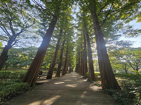 문화예술공원 전경