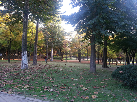 문화예술공원 유아숲