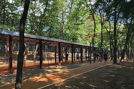 길마중 초록숲길