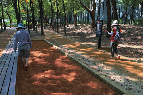 길마중초록숲길(황토볼체험장)