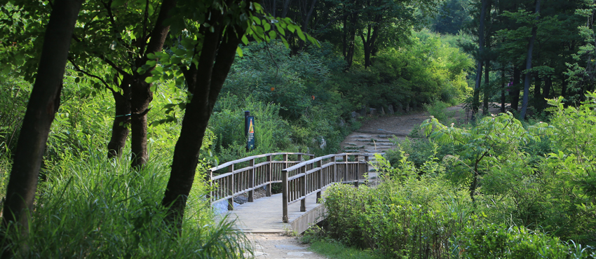 우면산 등산로