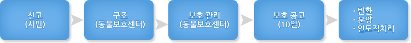 유기·유실동물 구조·보호 체계 안내 하단 내용 참조