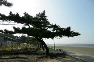 몽산해변 사진