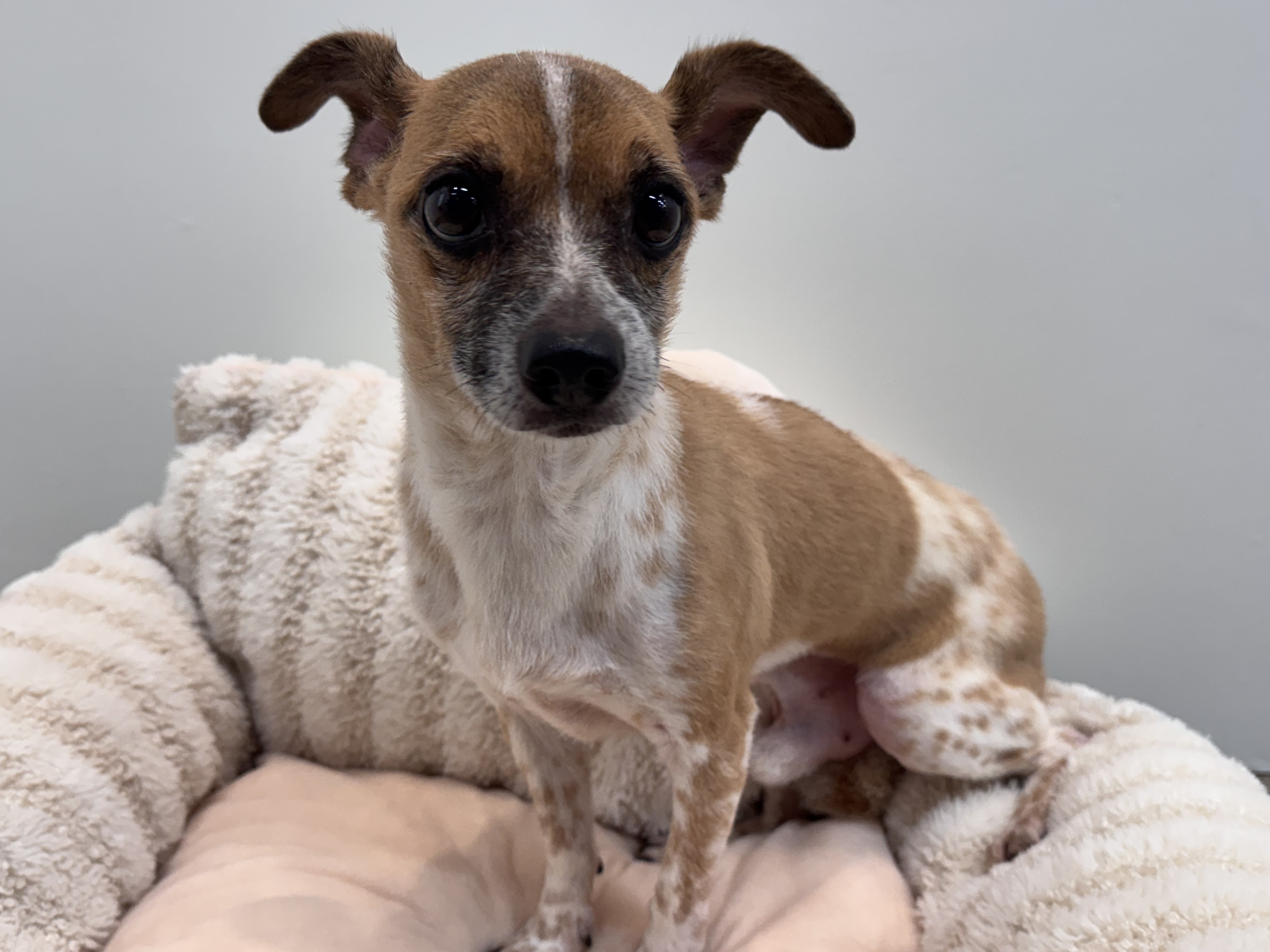 서울-서초-2025-00063 사진 1