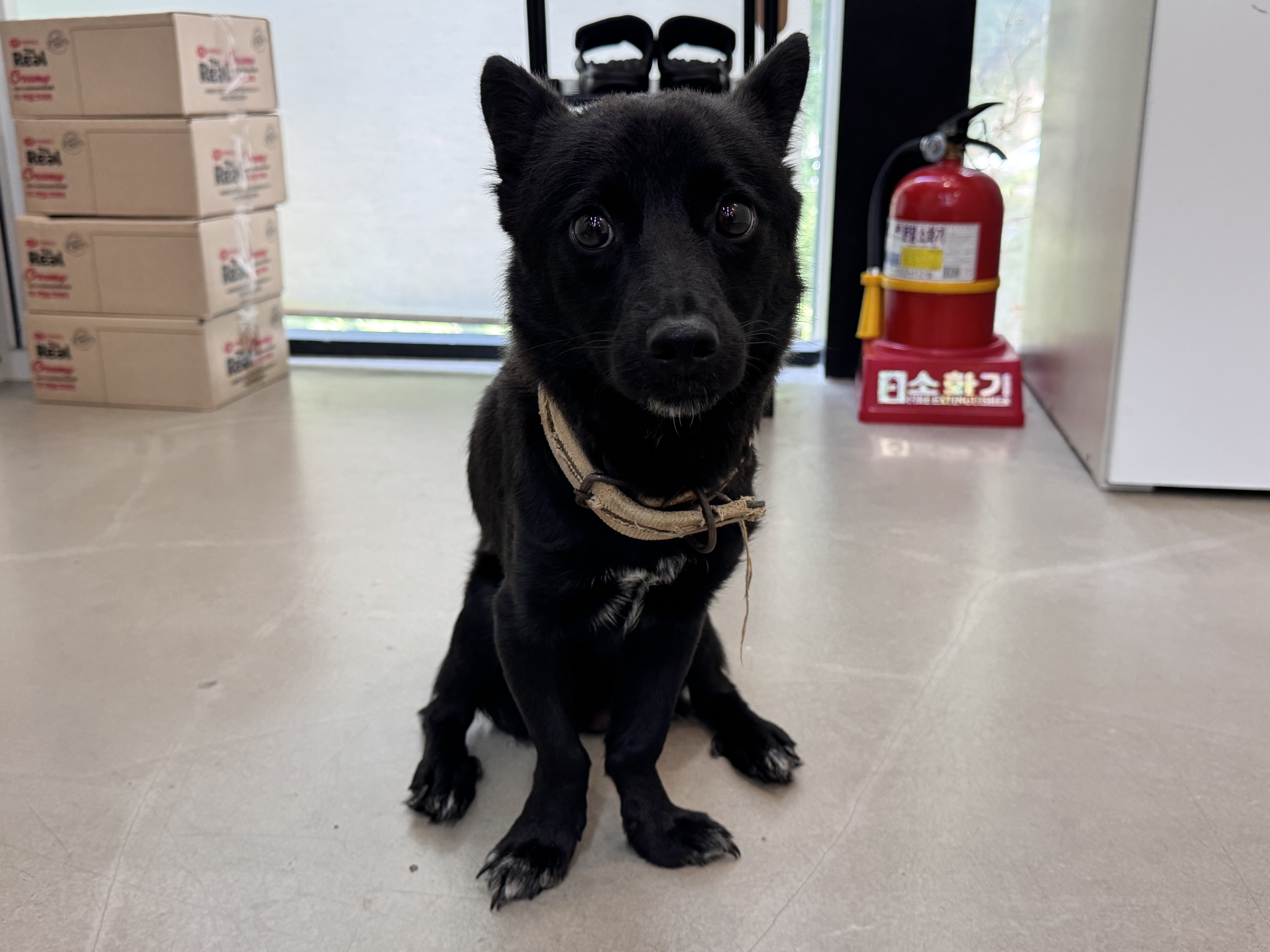 서울-서초-2025-00065 사진 1