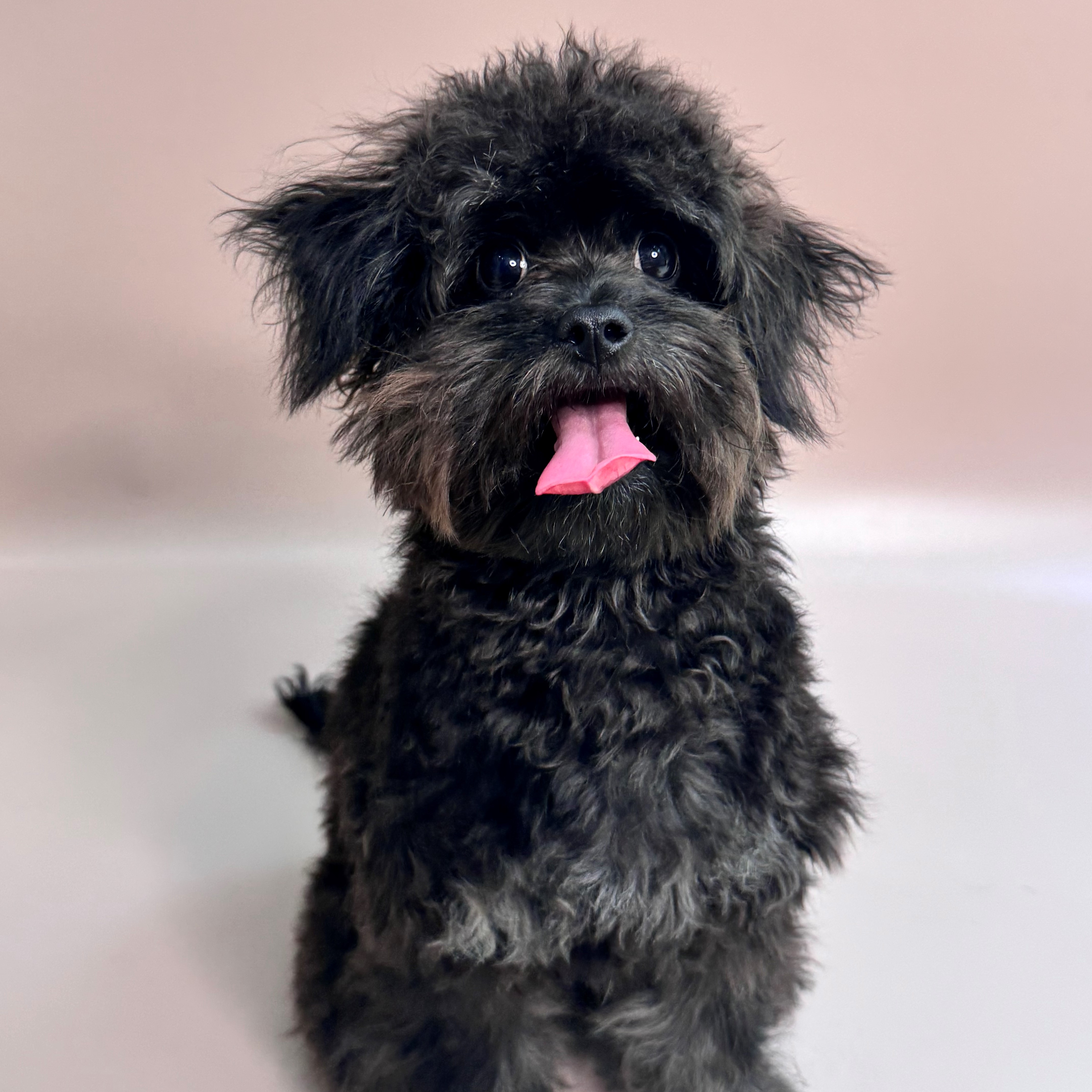 서울-서초-2025-00059 사진 1