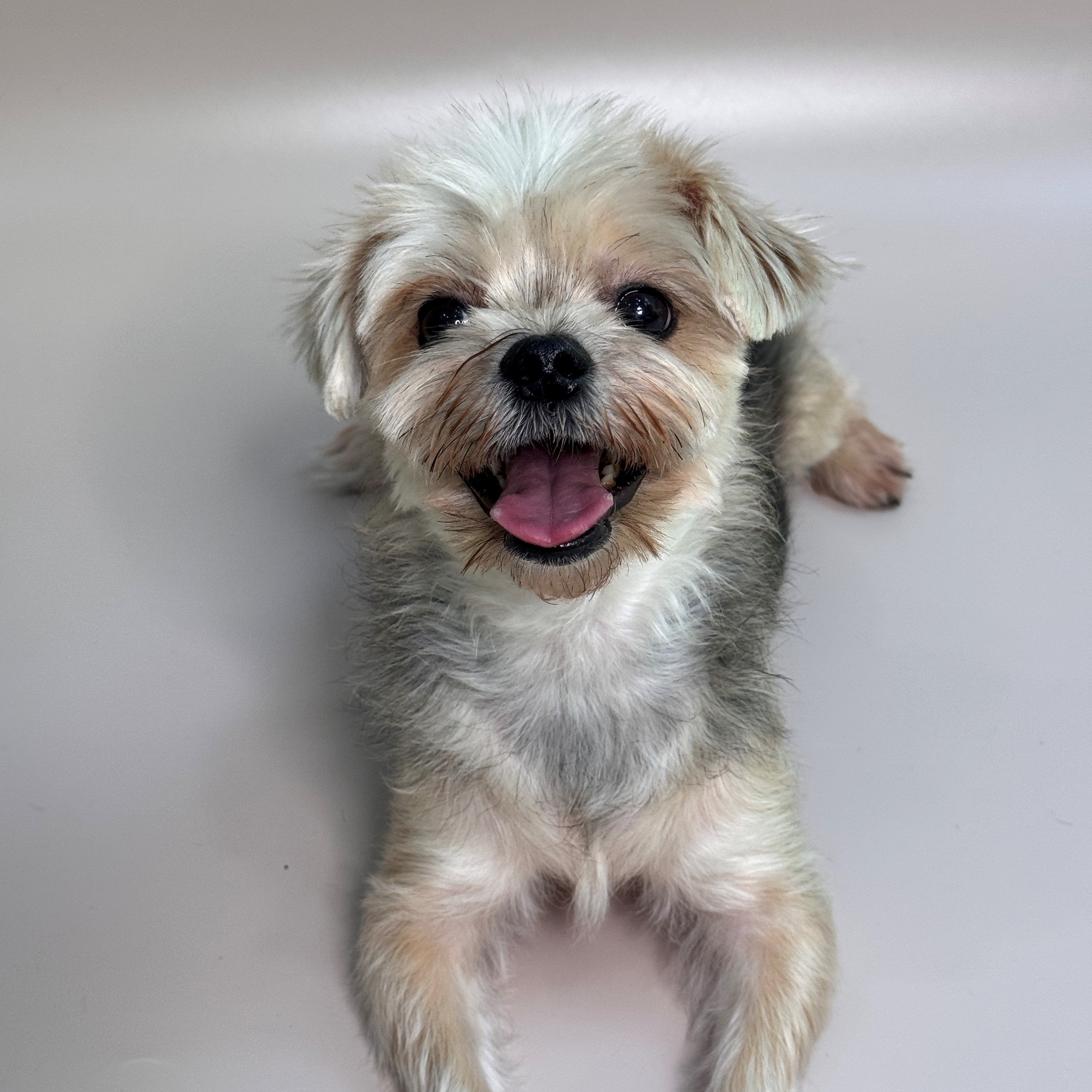 서울-서초-2025-00052 사진 1