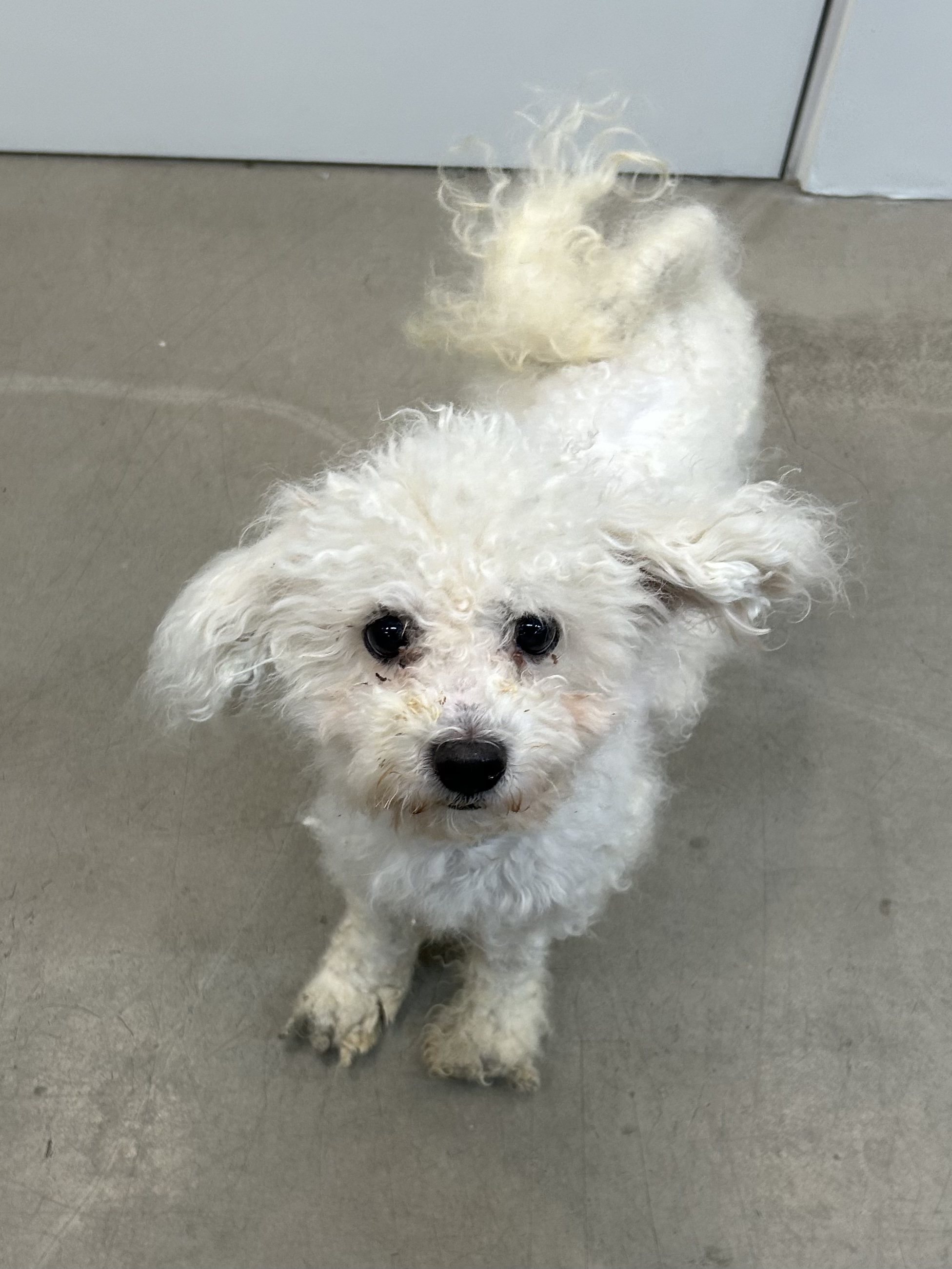 서울-서초-2025-00082 사진 1