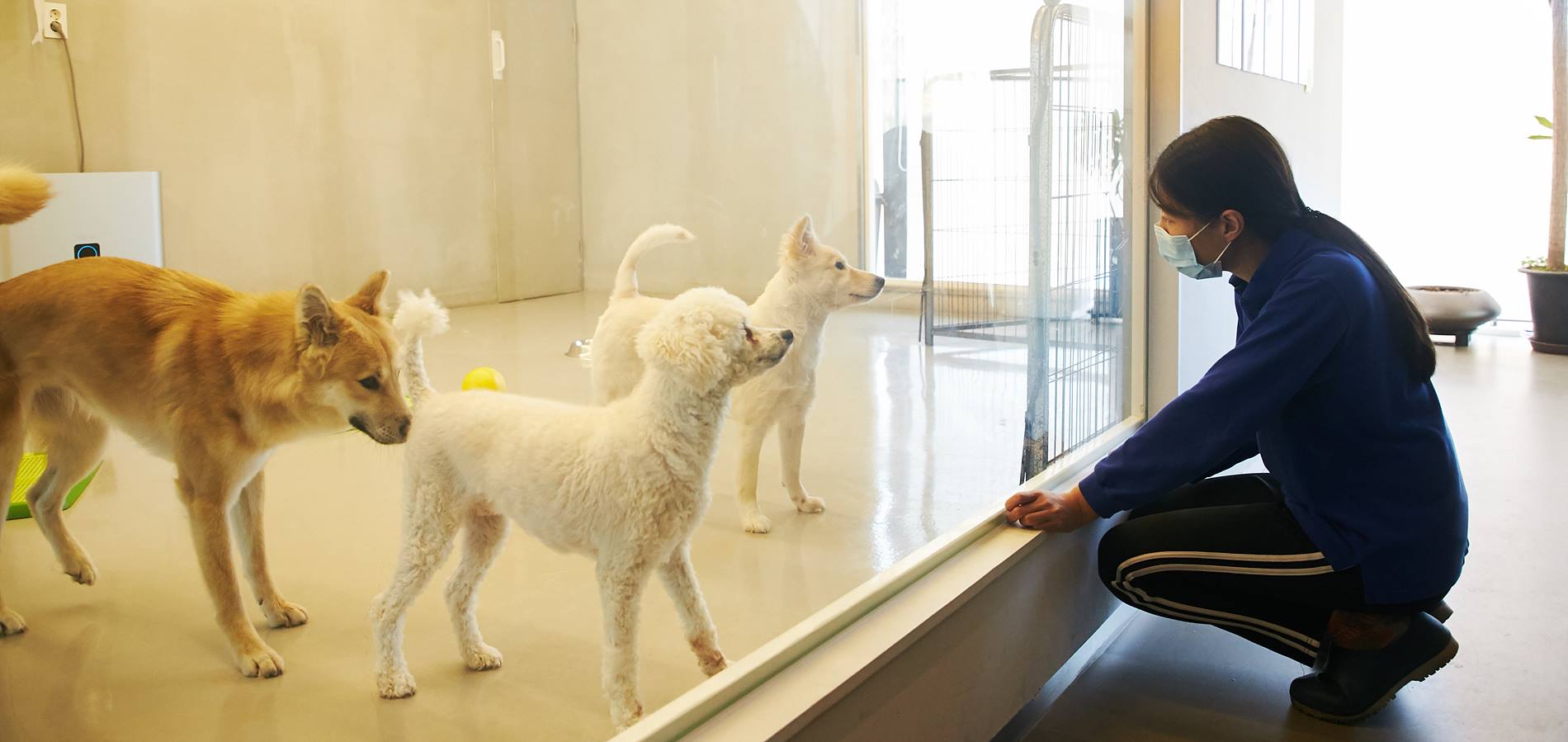 Seocho Animal Love Center 1