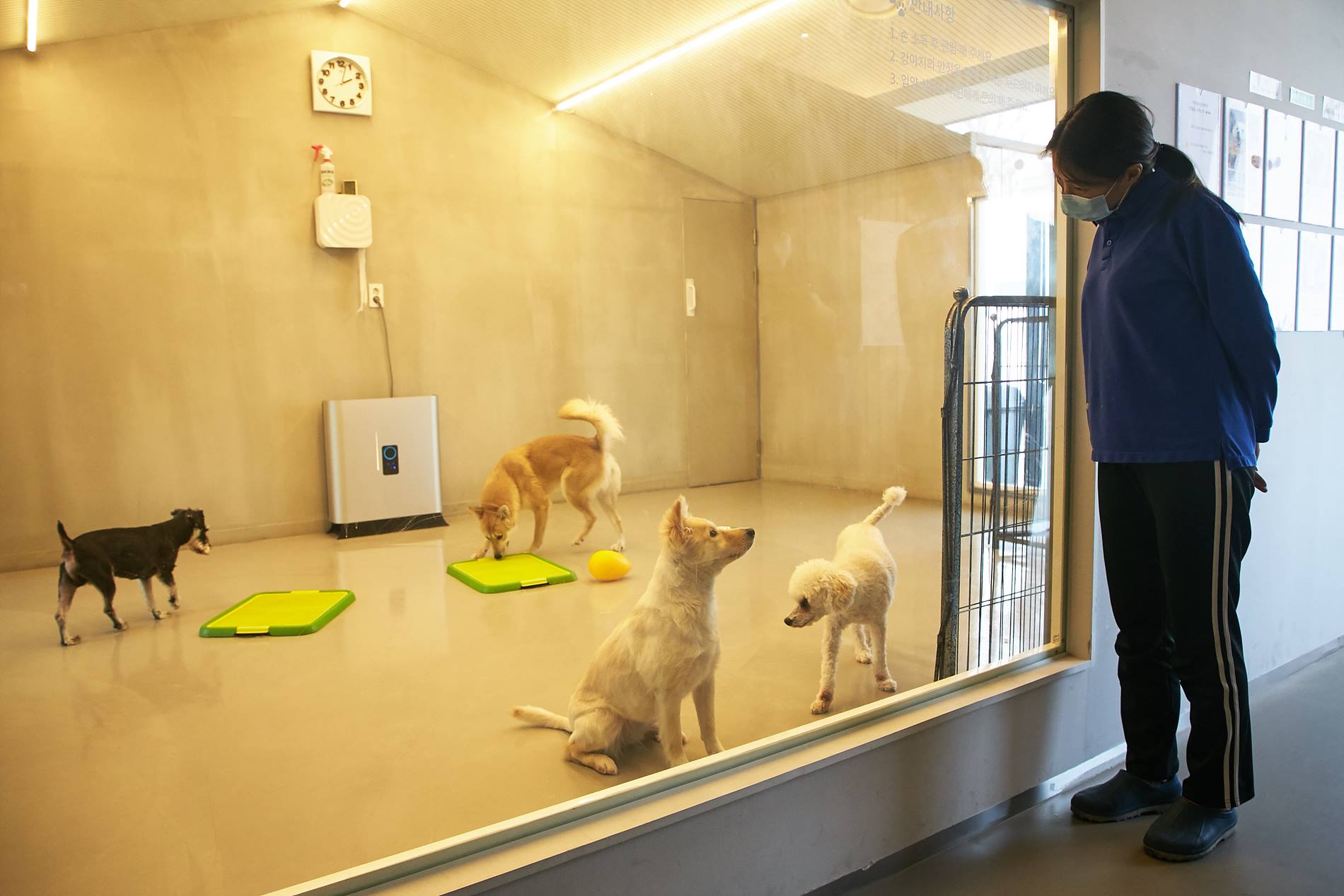 Seocho Animal Love Center 2