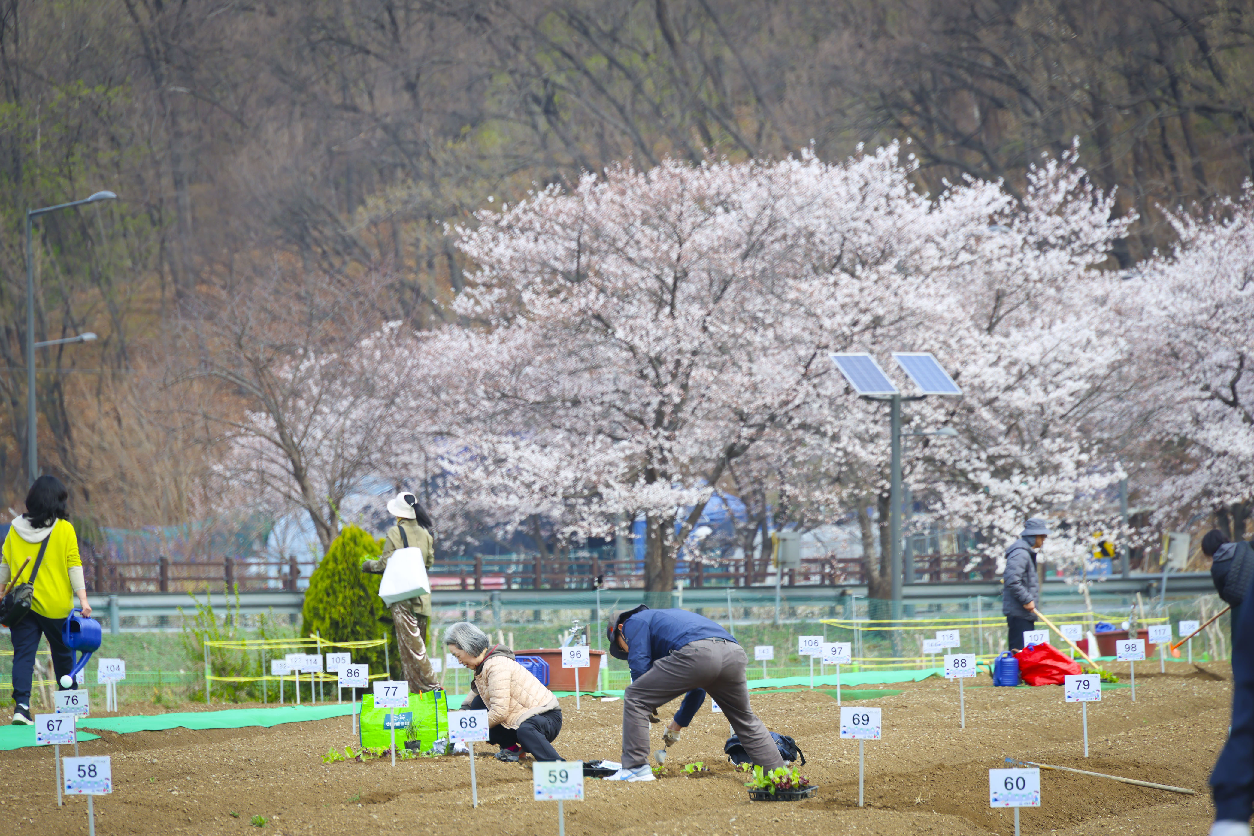 2026년 청룡텃밭 개장식 사진5 