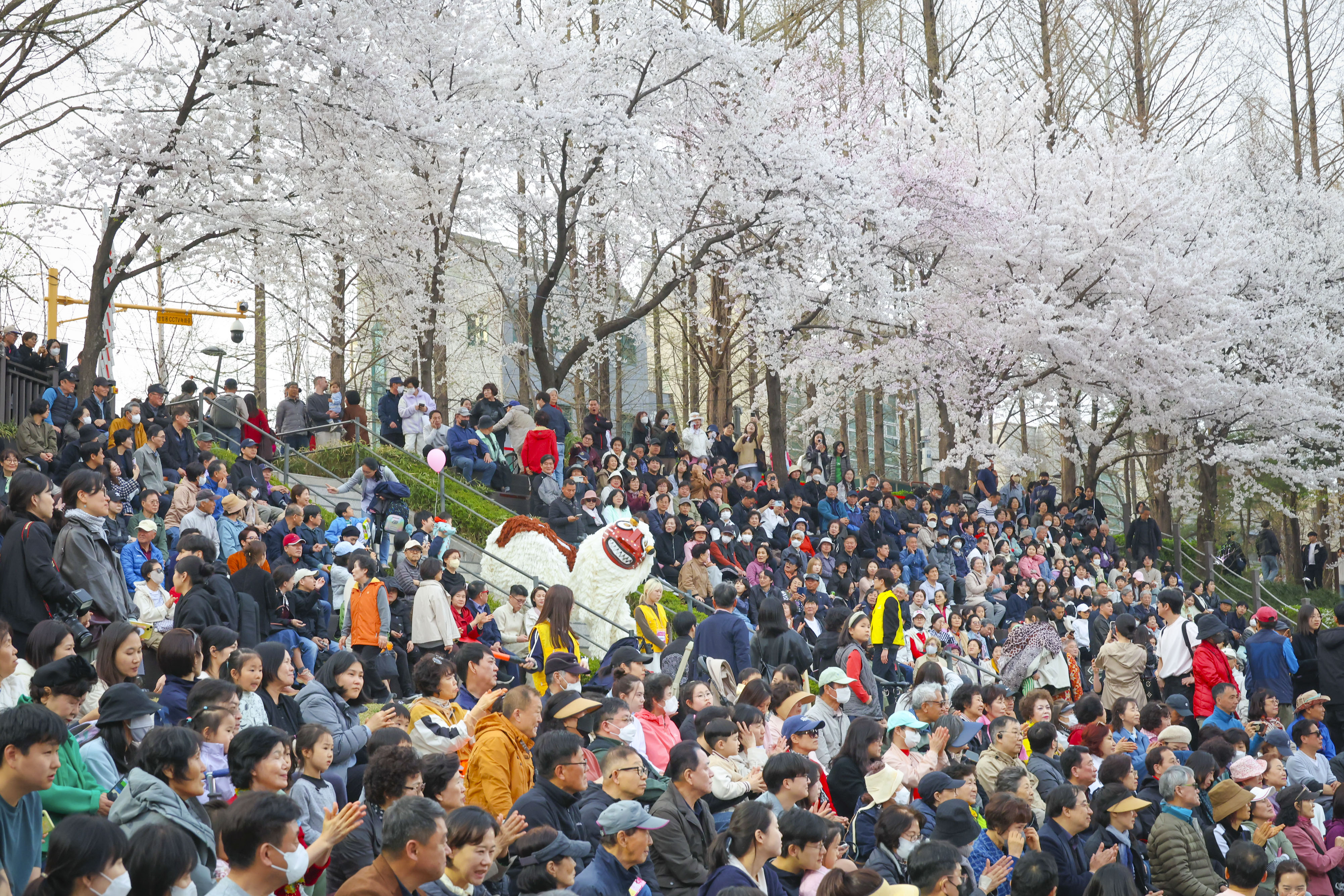제8회 양재천 벚꽃등축제 사진4 