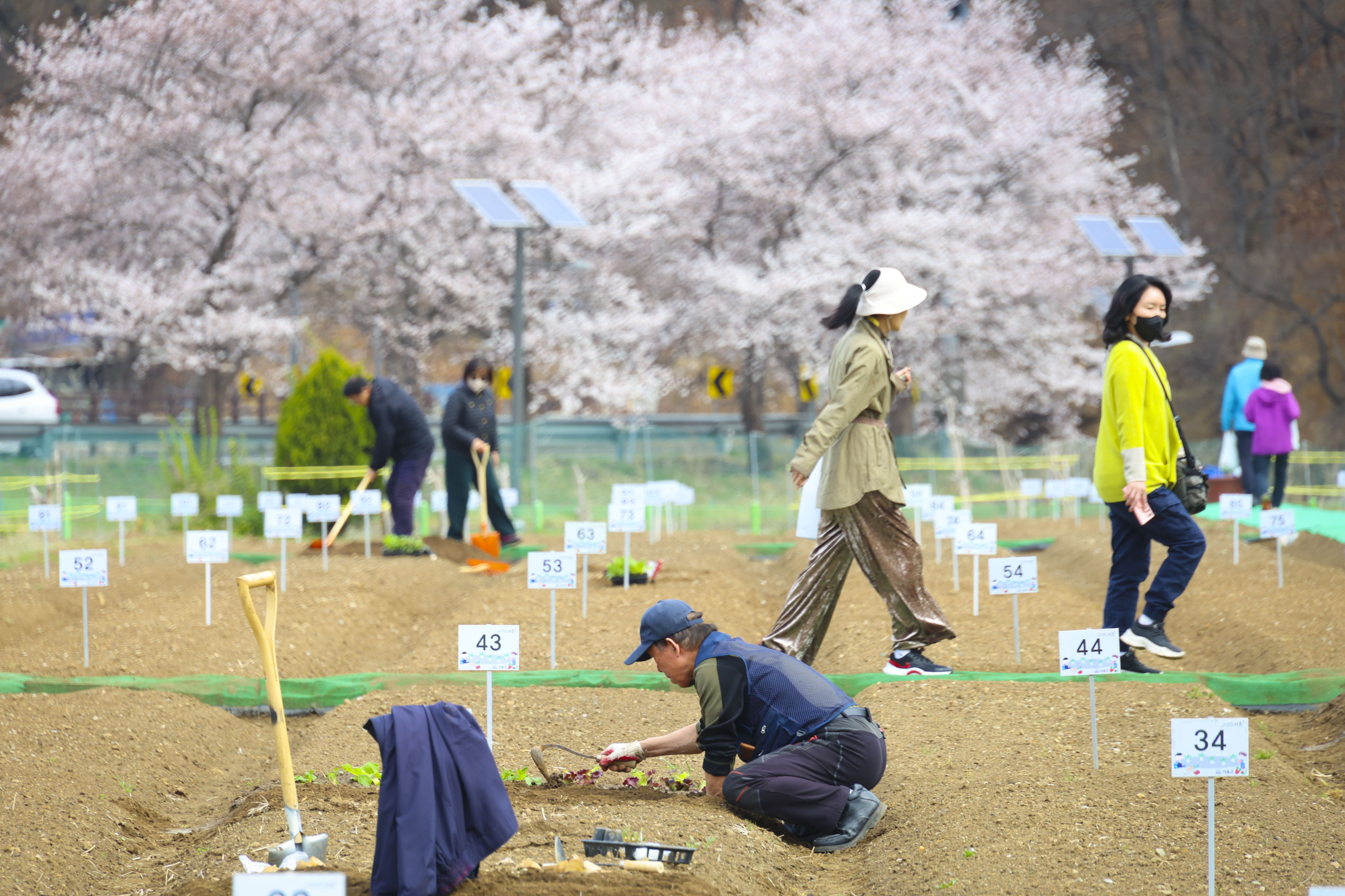 2026년 청룡텃밭 개장식 사진1 