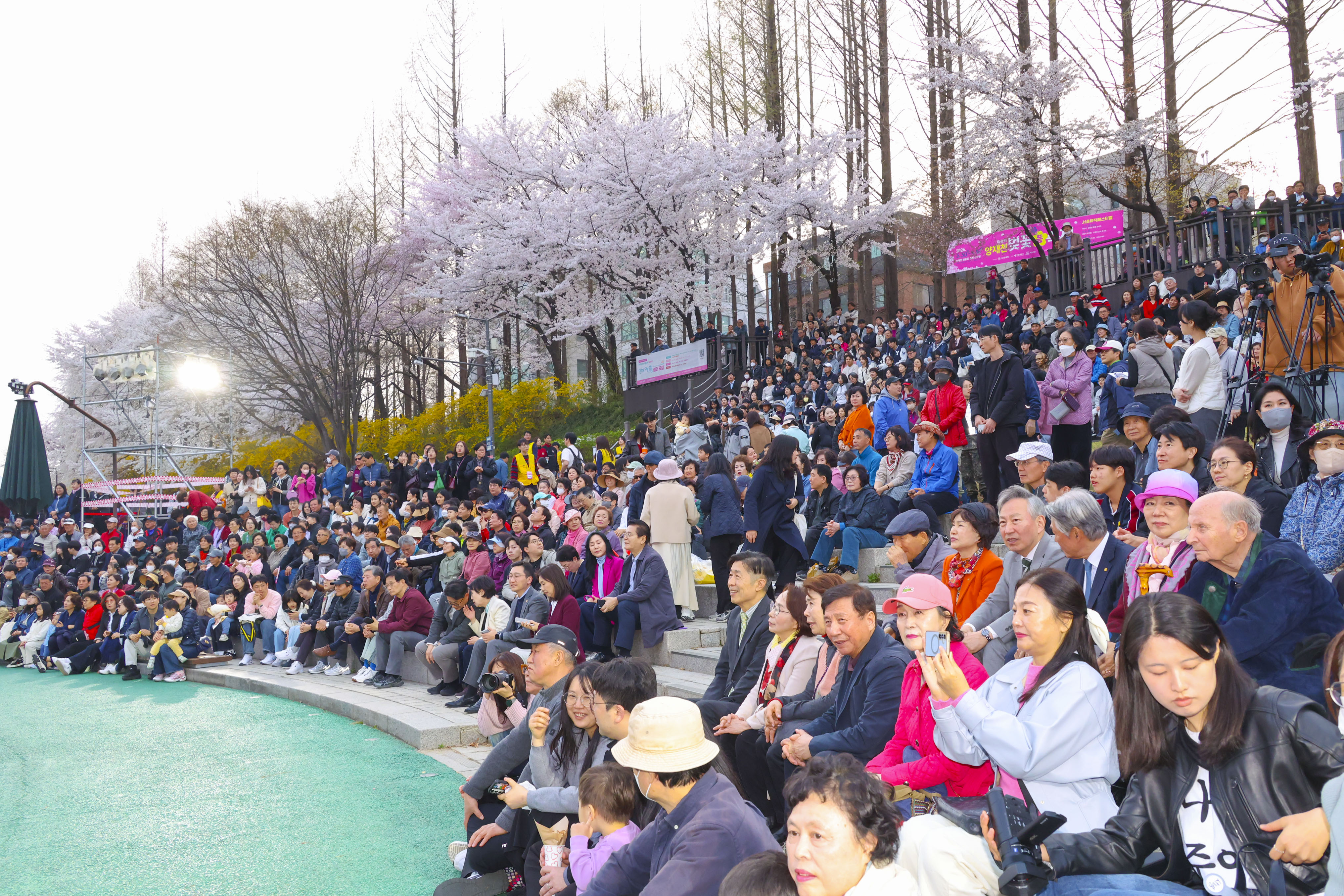 제8회 양재천 벚꽃등축제 사진8 