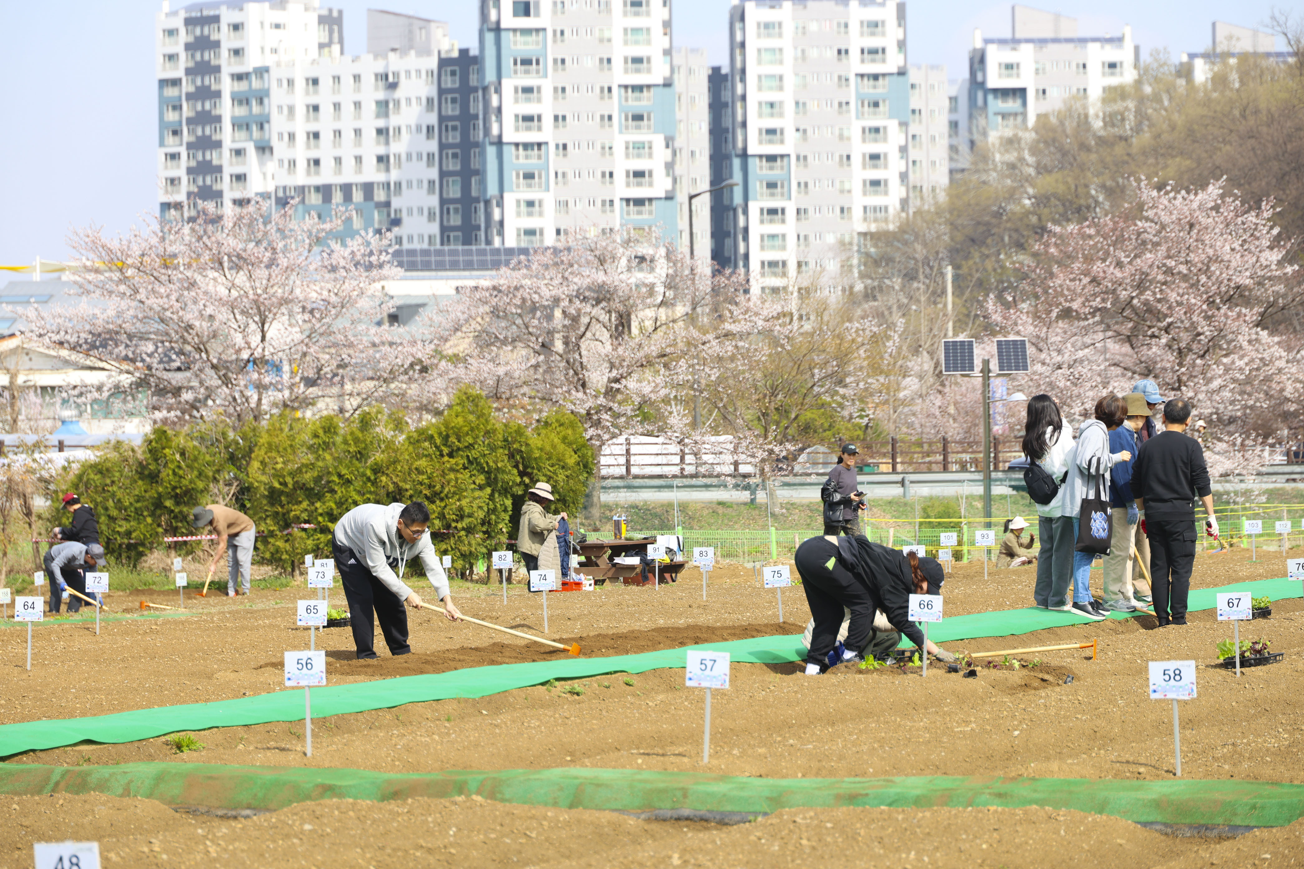 2026년 청룡텃밭 개장식 사진15 