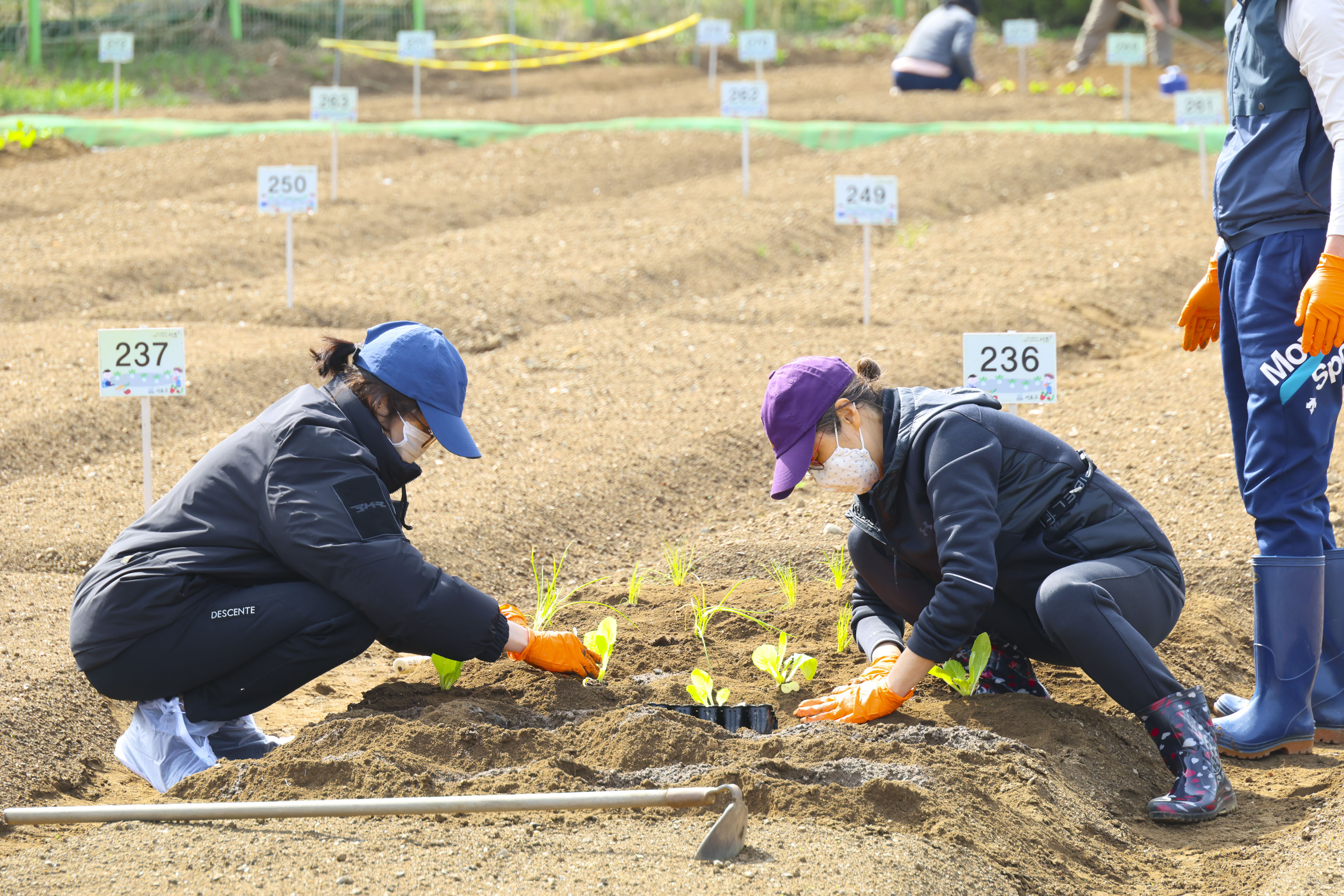 2026년 청룡텃밭 개장식 사진17 