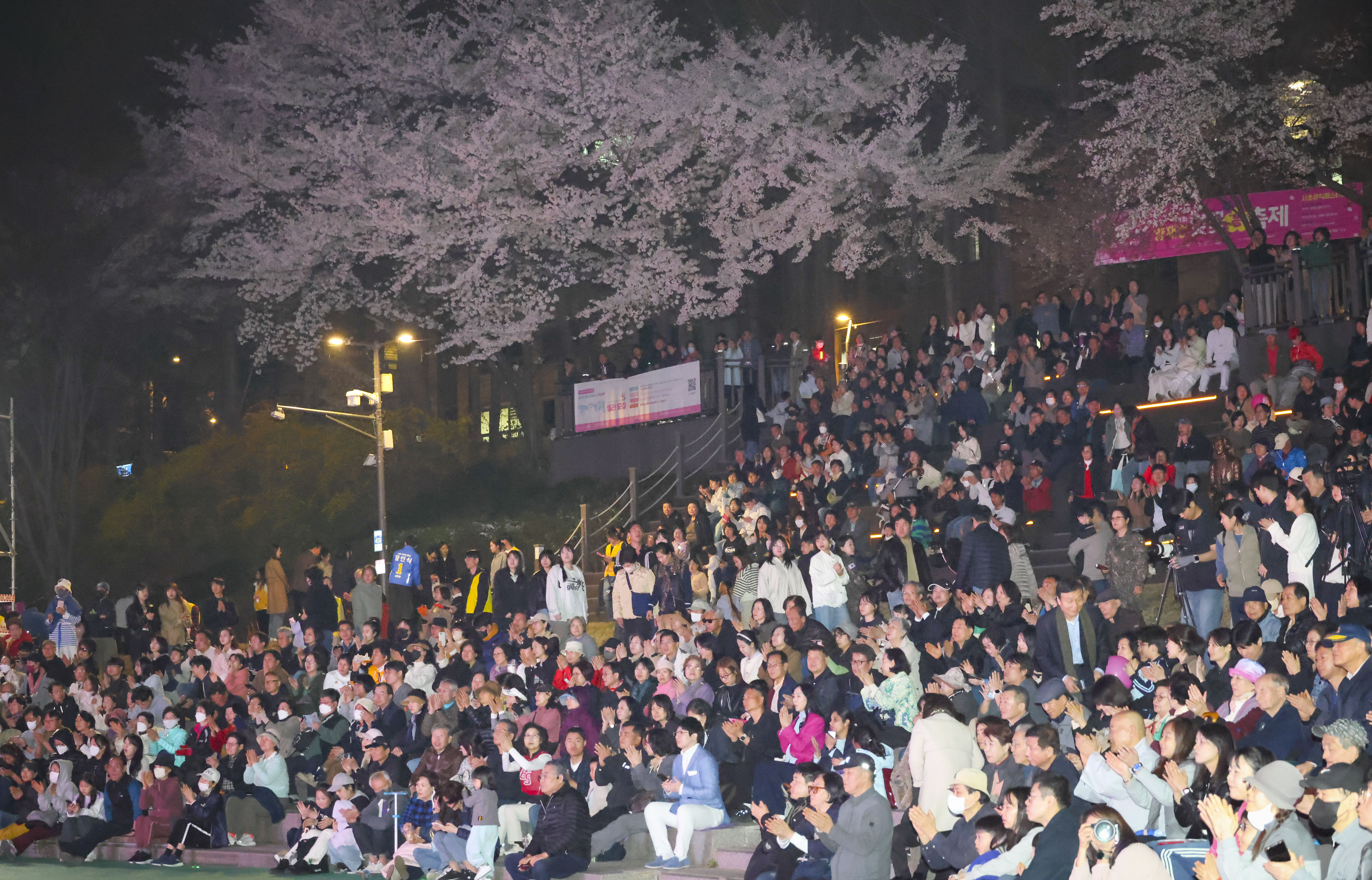 제8회 양재천 벚꽃등축제 사진12 