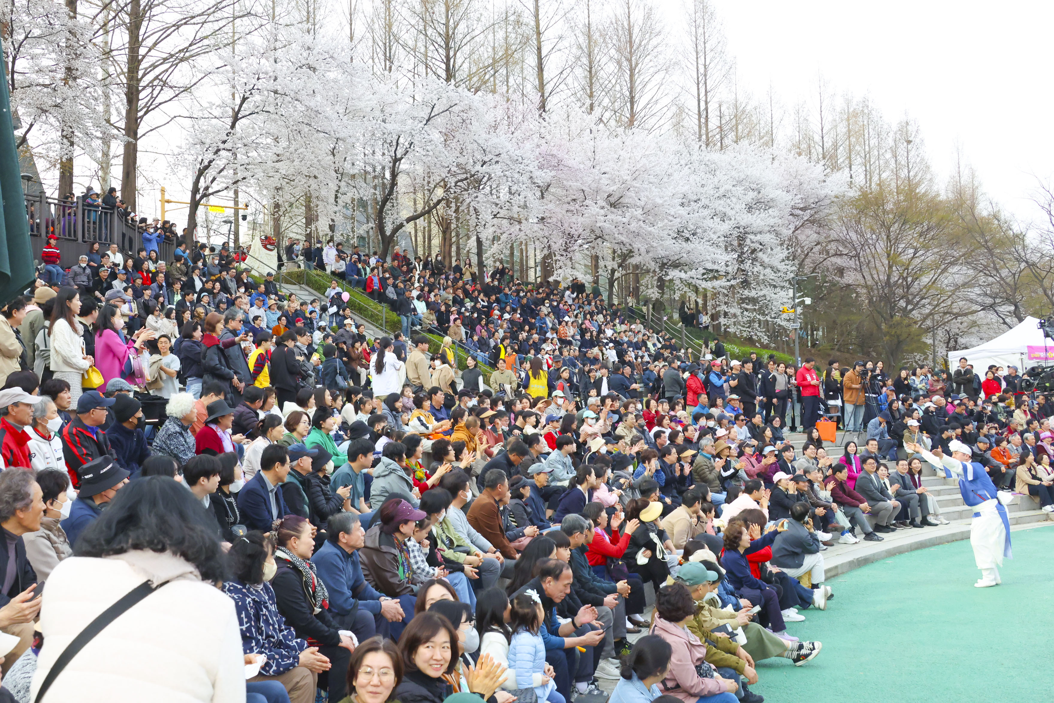 제8회 양재천 벚꽃등축제 사진3 
