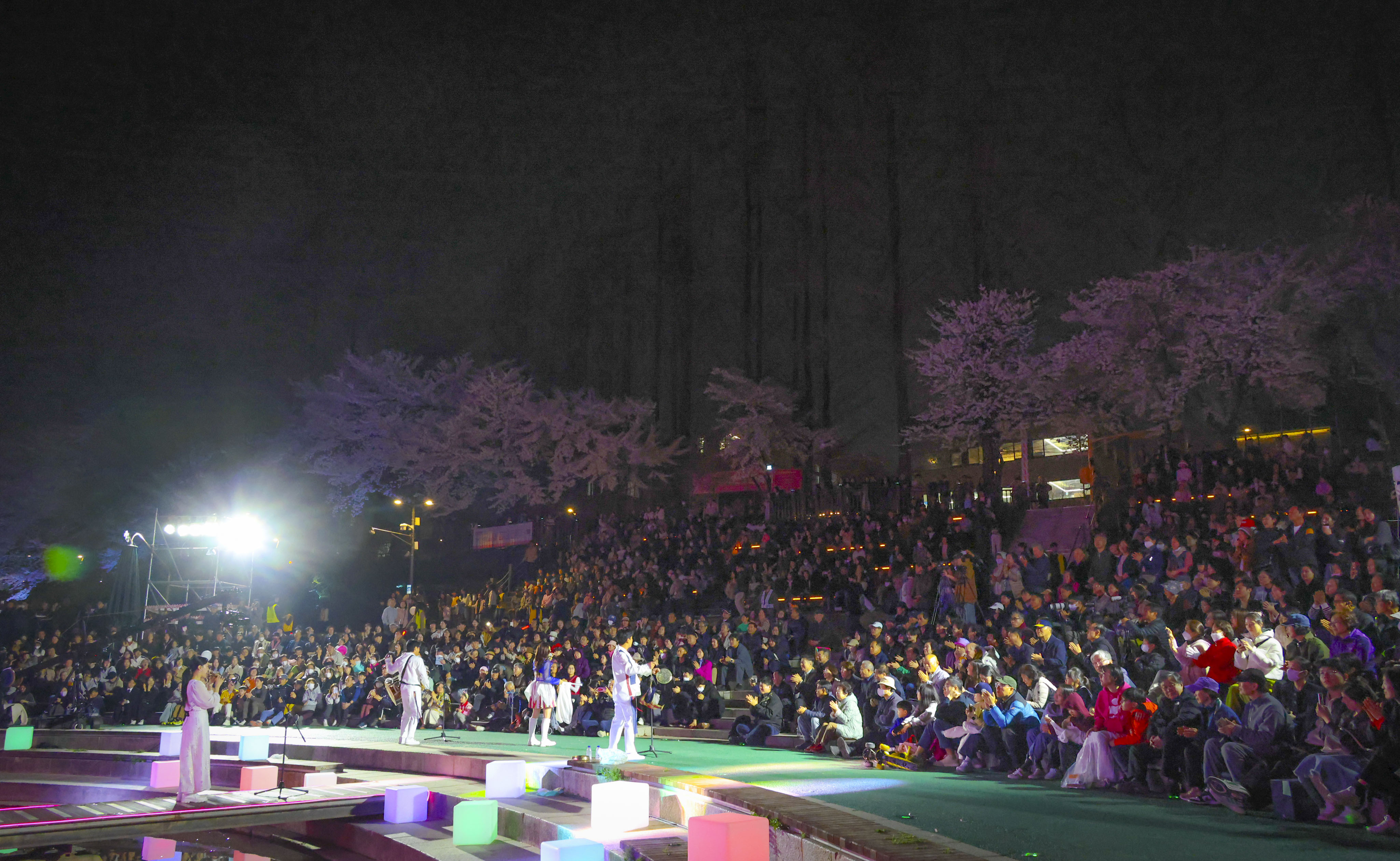 제8회 양재천 벚꽃등축제 사진17 