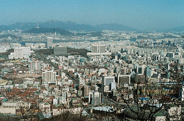 보도자료_상세보기-서초구청