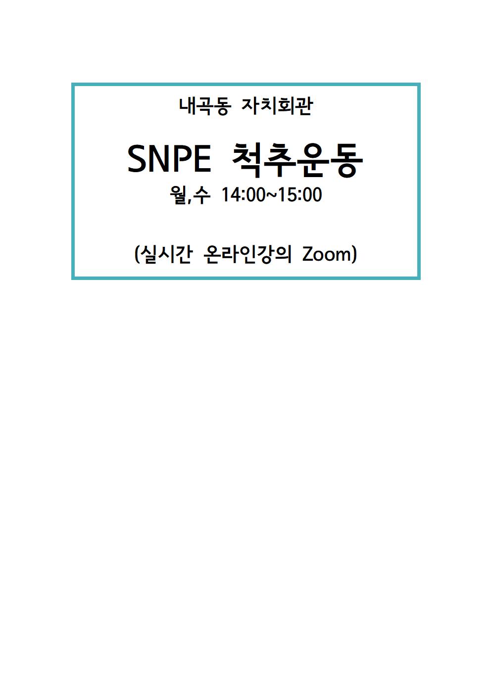 SNPE척추운동 (실시간 온라인 강의)