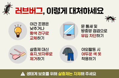 야간 조명은 낮추거나 황색 전구로 교체하기
문 틈새 및 방충망 점검으로 유입 차단하기
살충제 대신 휴지, 빗자루로 제거하기
야외활동 시 어두운 색 옷 착용하기
생태계 보호를 위해 살충제는 자제해 주세요
