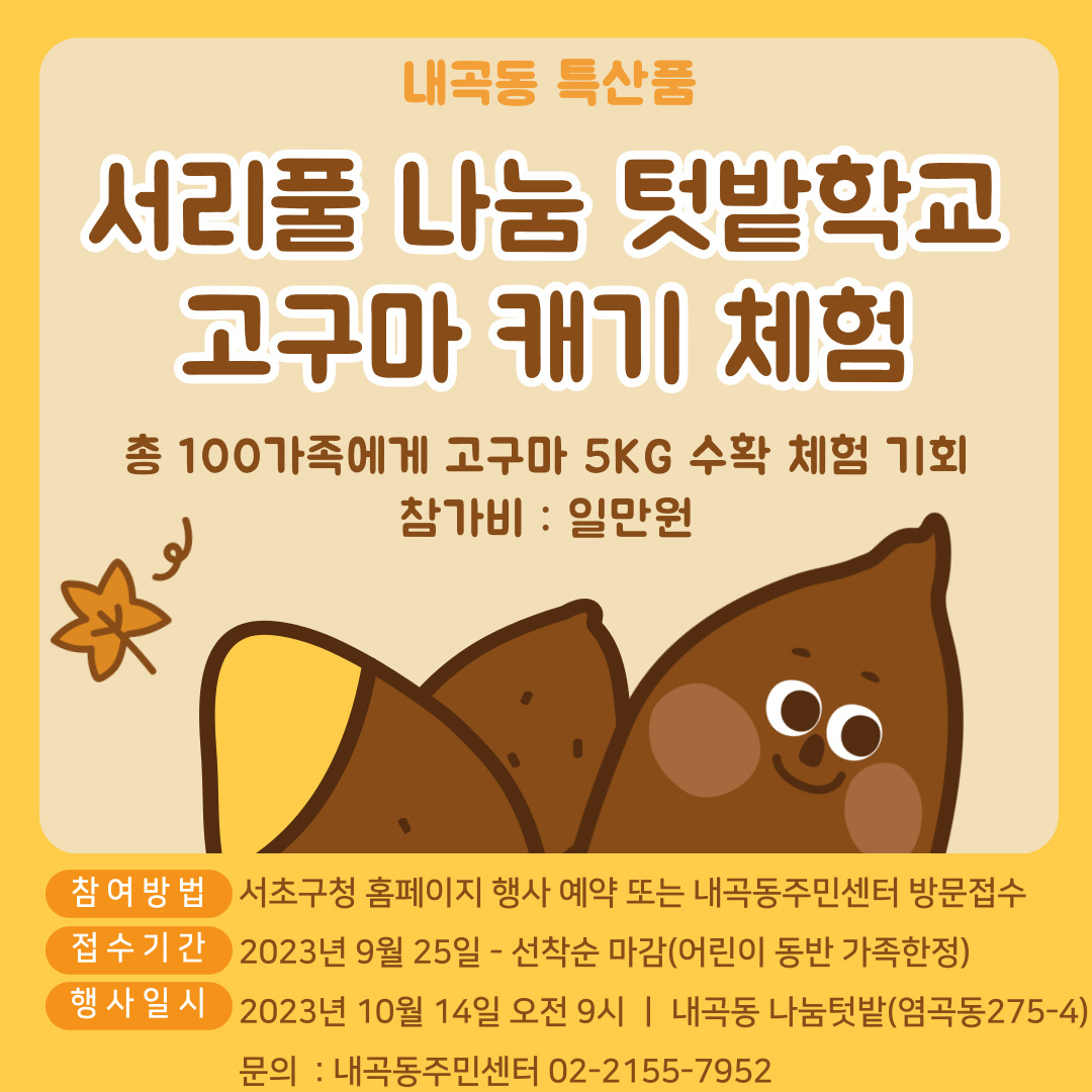 내곡 서리풀 나눔텃밭학교 고구마캐기 체험행사