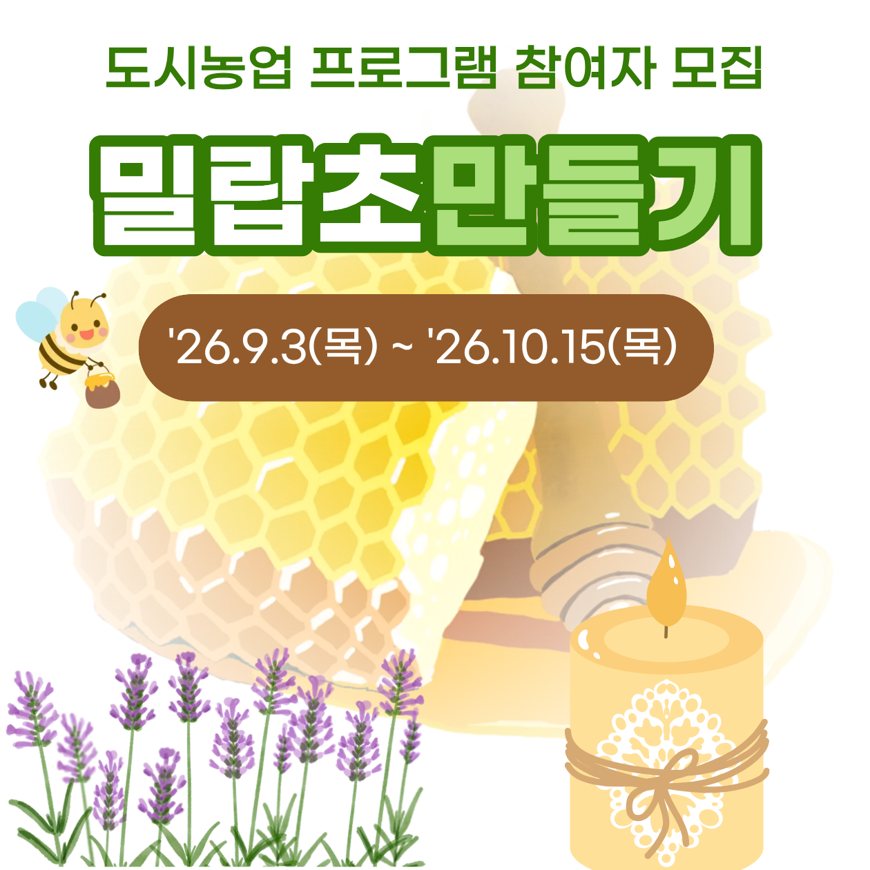 도시농업 프로그램 참여자 모집
밀랍초 만들기
'26.9.3(목)~'26.10.15(목)
