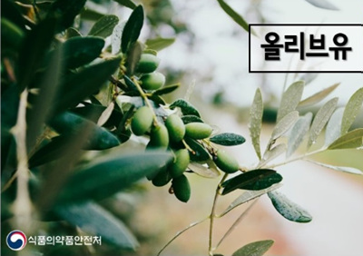 올리브유.jpg