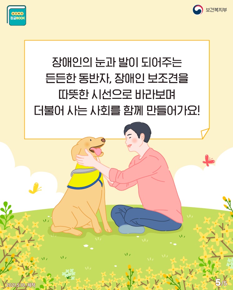 카드5