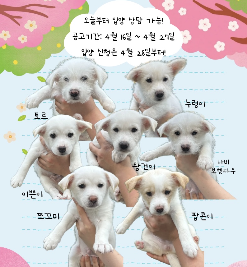 KakaoTalk_20260416_170727900