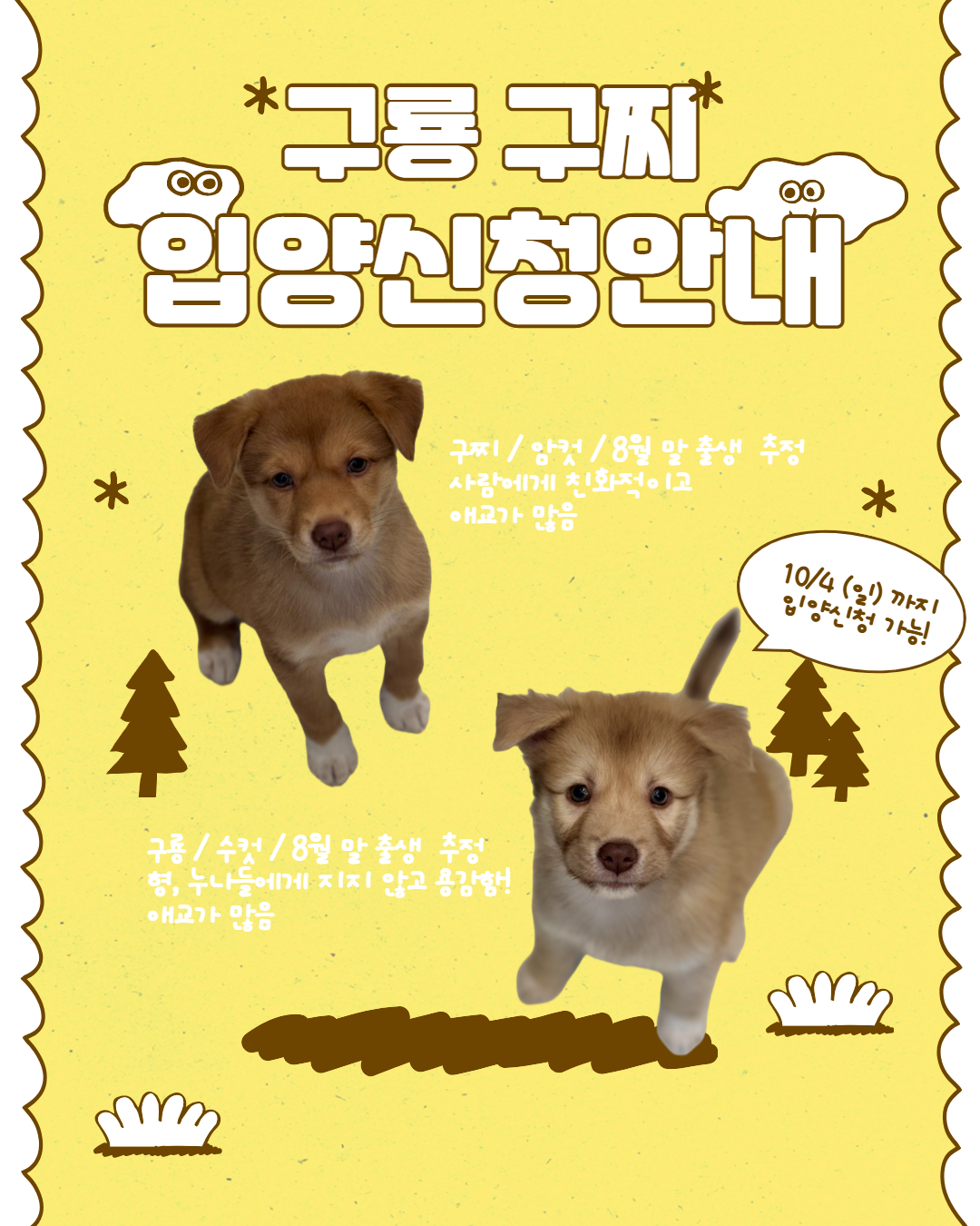 제목을 입력하세요 (1)